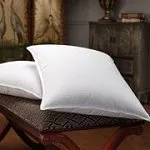 10/90 Down-Feather Blend 18" x 18" (pillow insert)