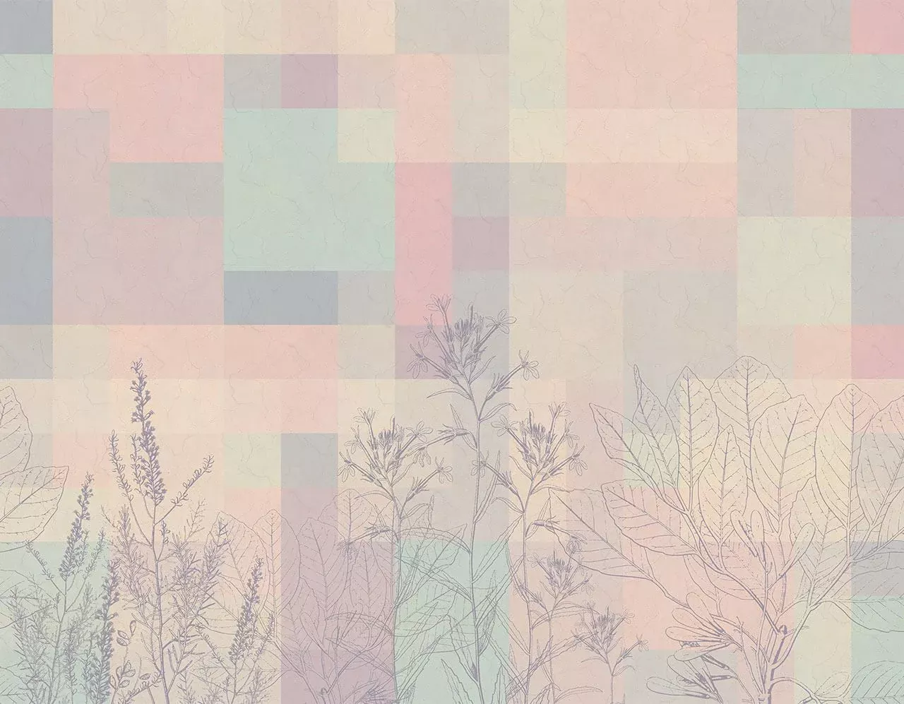 Aurora Pink