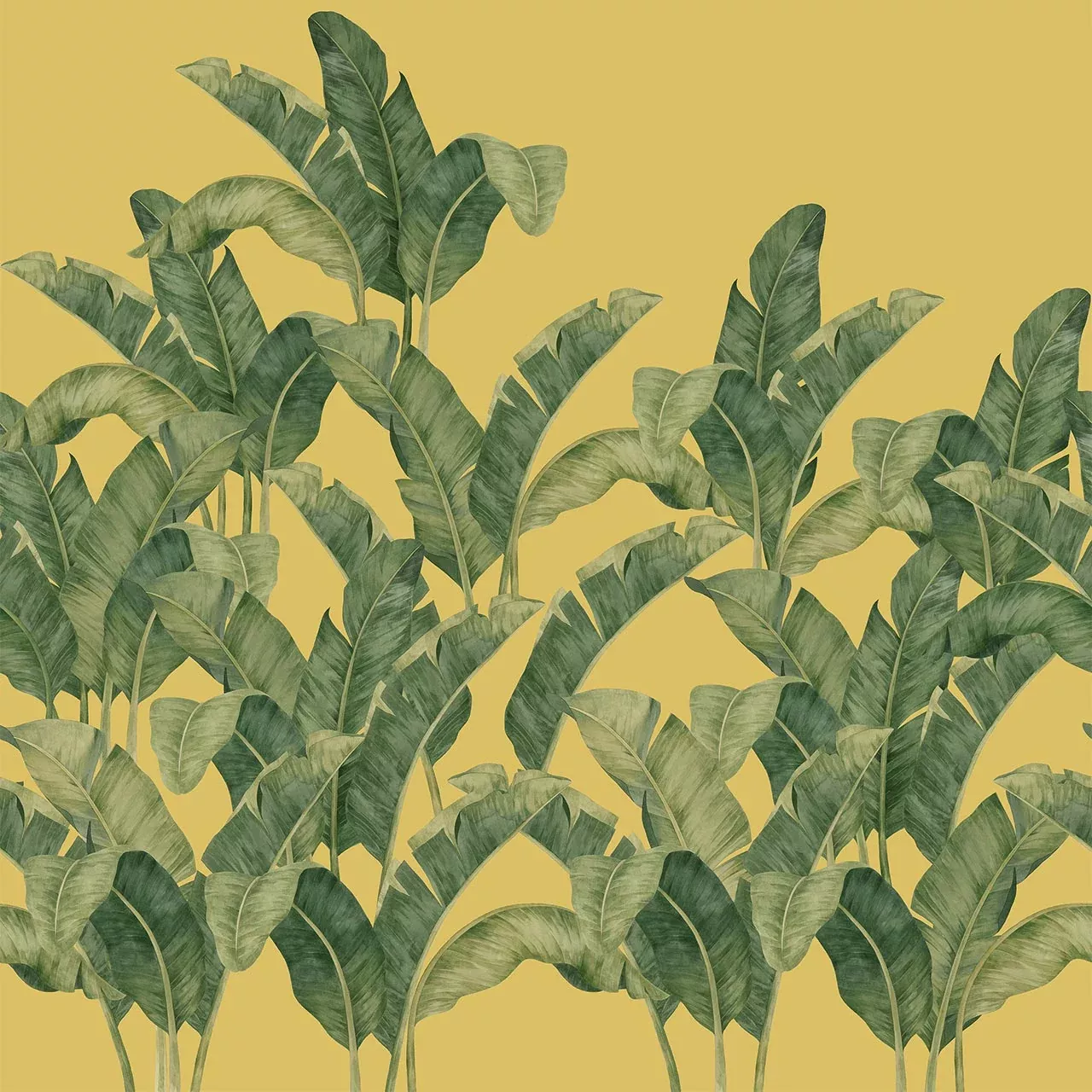 Bananella Green