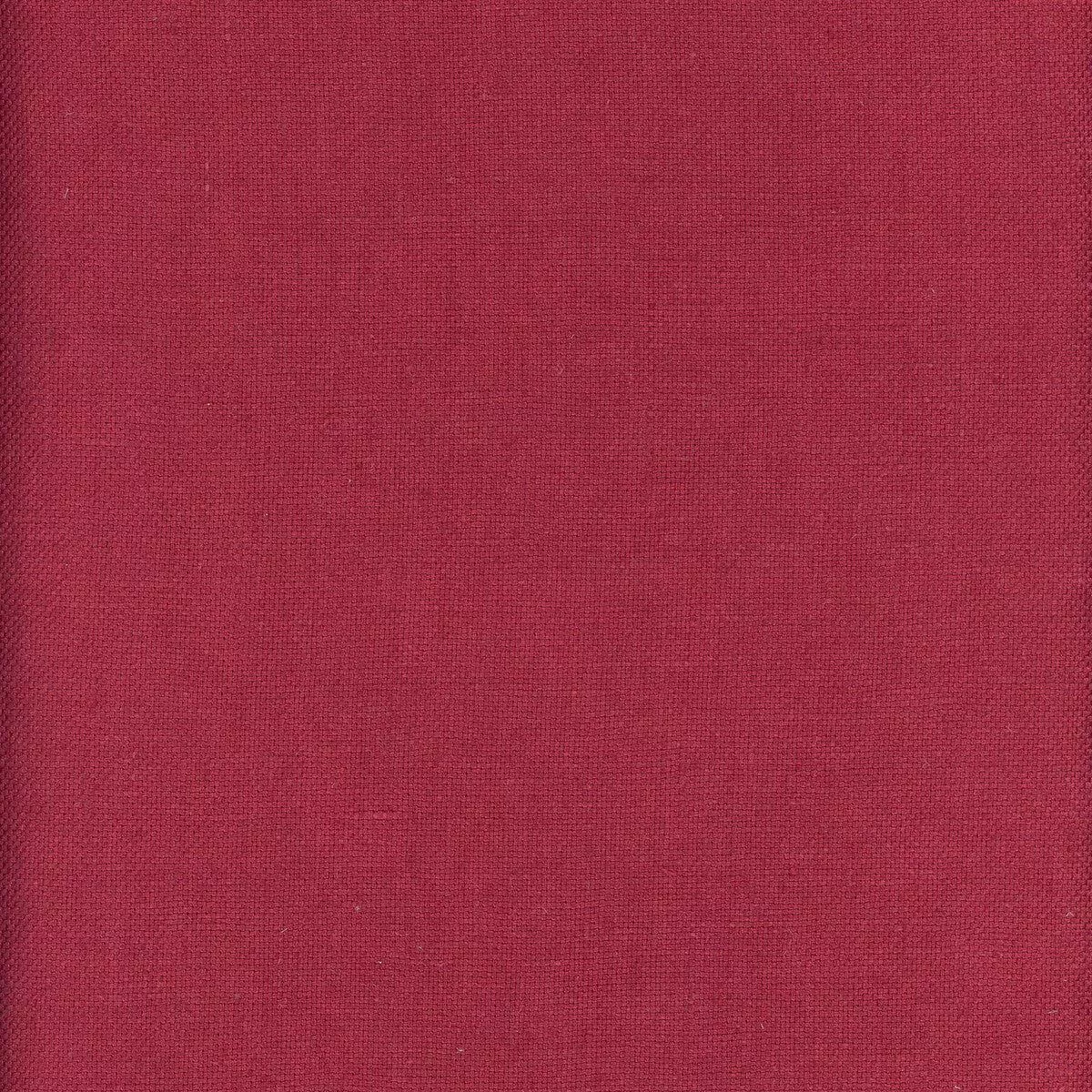 Beagle Orchid Fabric