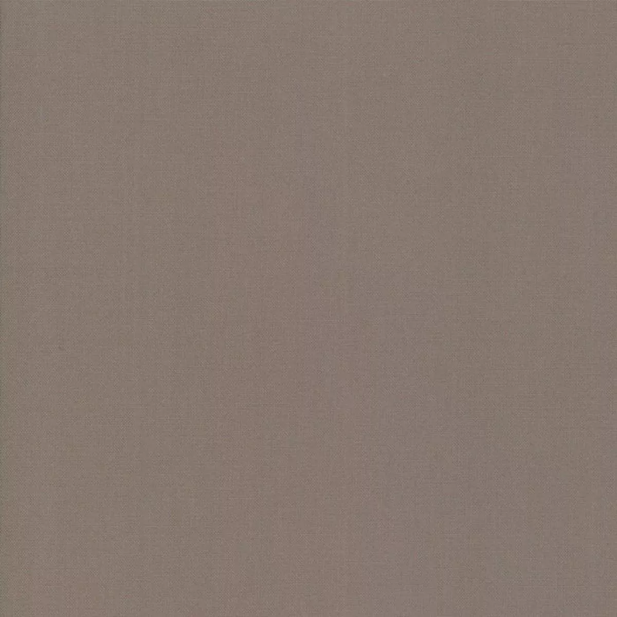 Bella Solids – Elephant