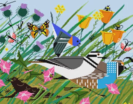 Charley Harper Needlepoint – Once There was a Field