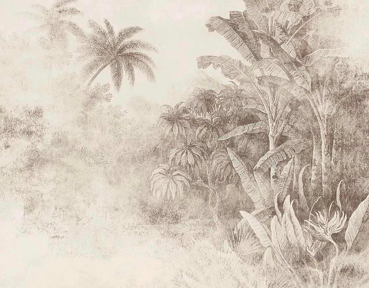 Congo Beige
