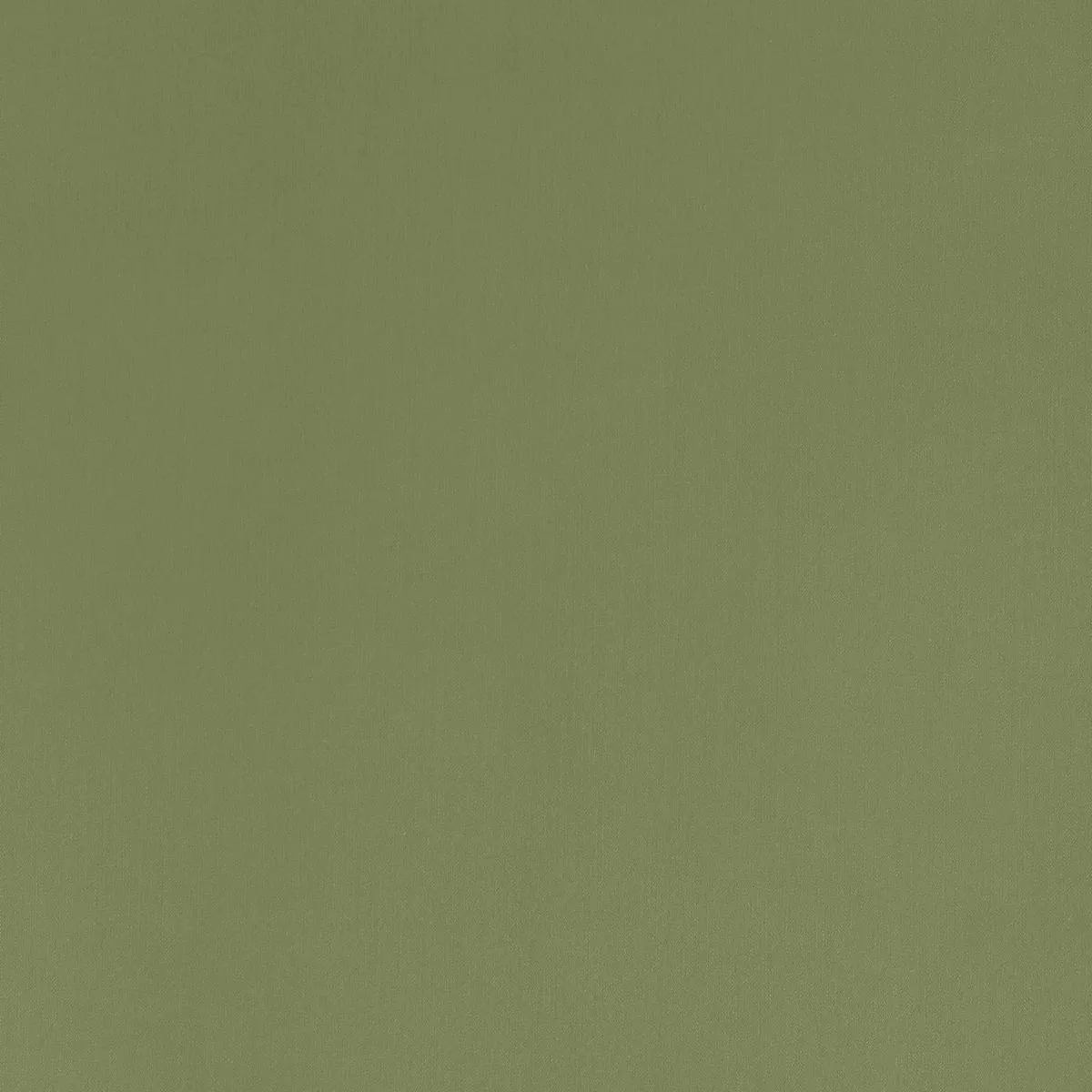 Coraggio Gramercy Park Olive Fabric