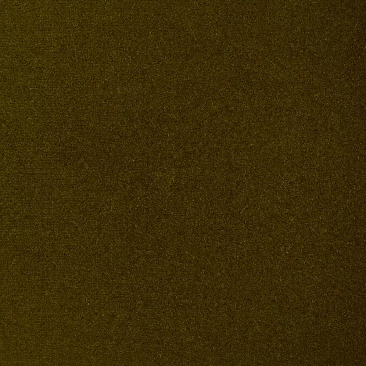 Covet Olive Fabric
