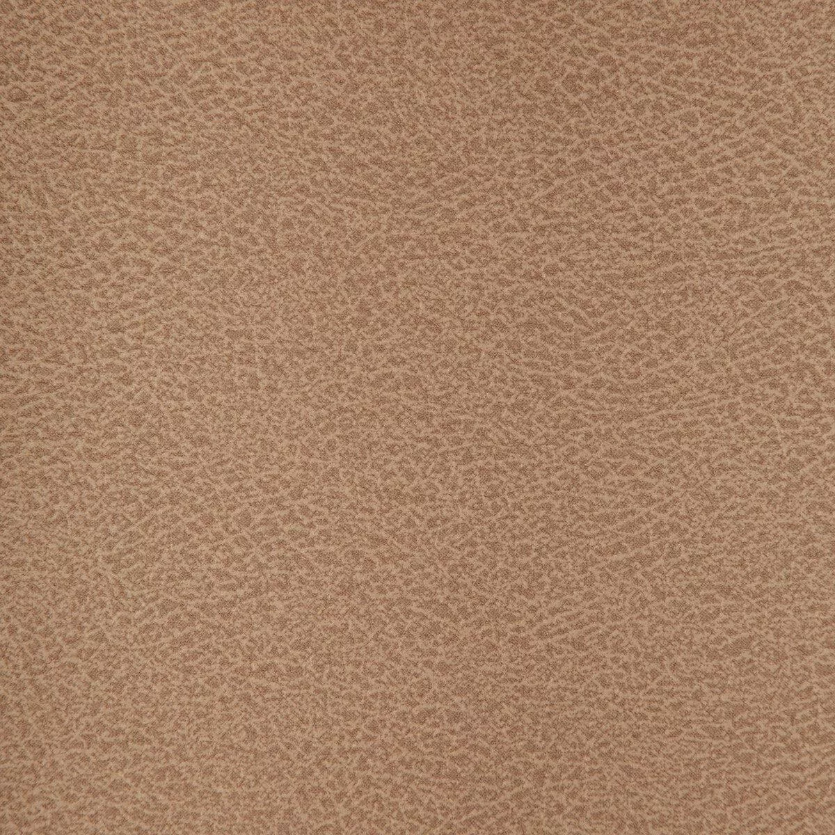 Crisp Crisp-106 Fabric