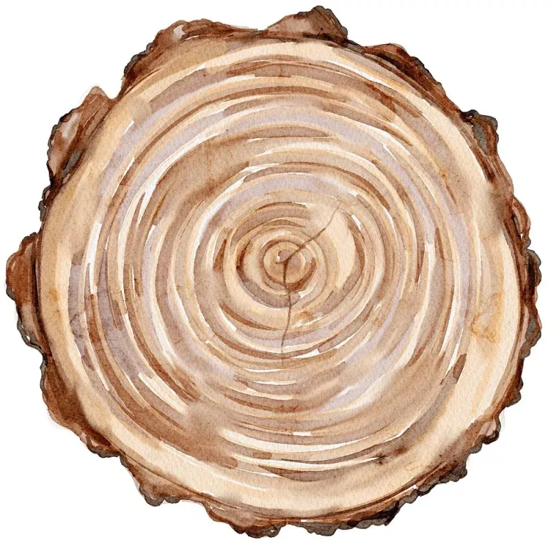 Evergreen Forest Log #1 Fabric Panel