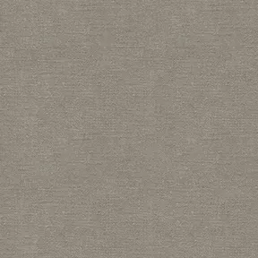 Exuberance 9006 Pewter Fabric