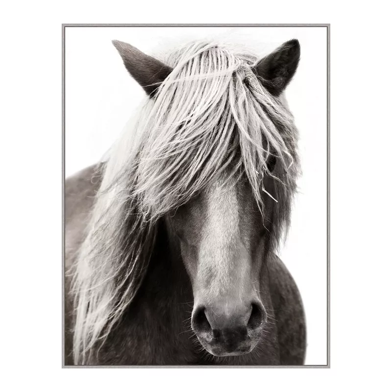 Fabled Stallion