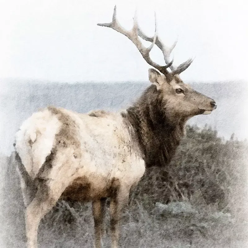 Faded Deer Portraits #3 Fabric Panel