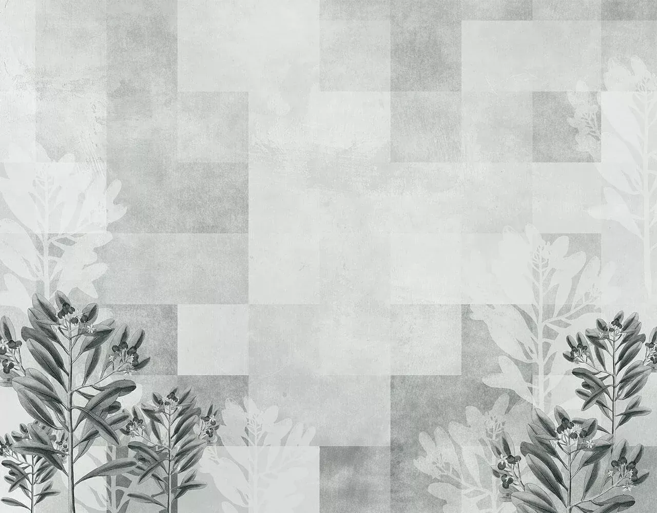 Ficus Black & White