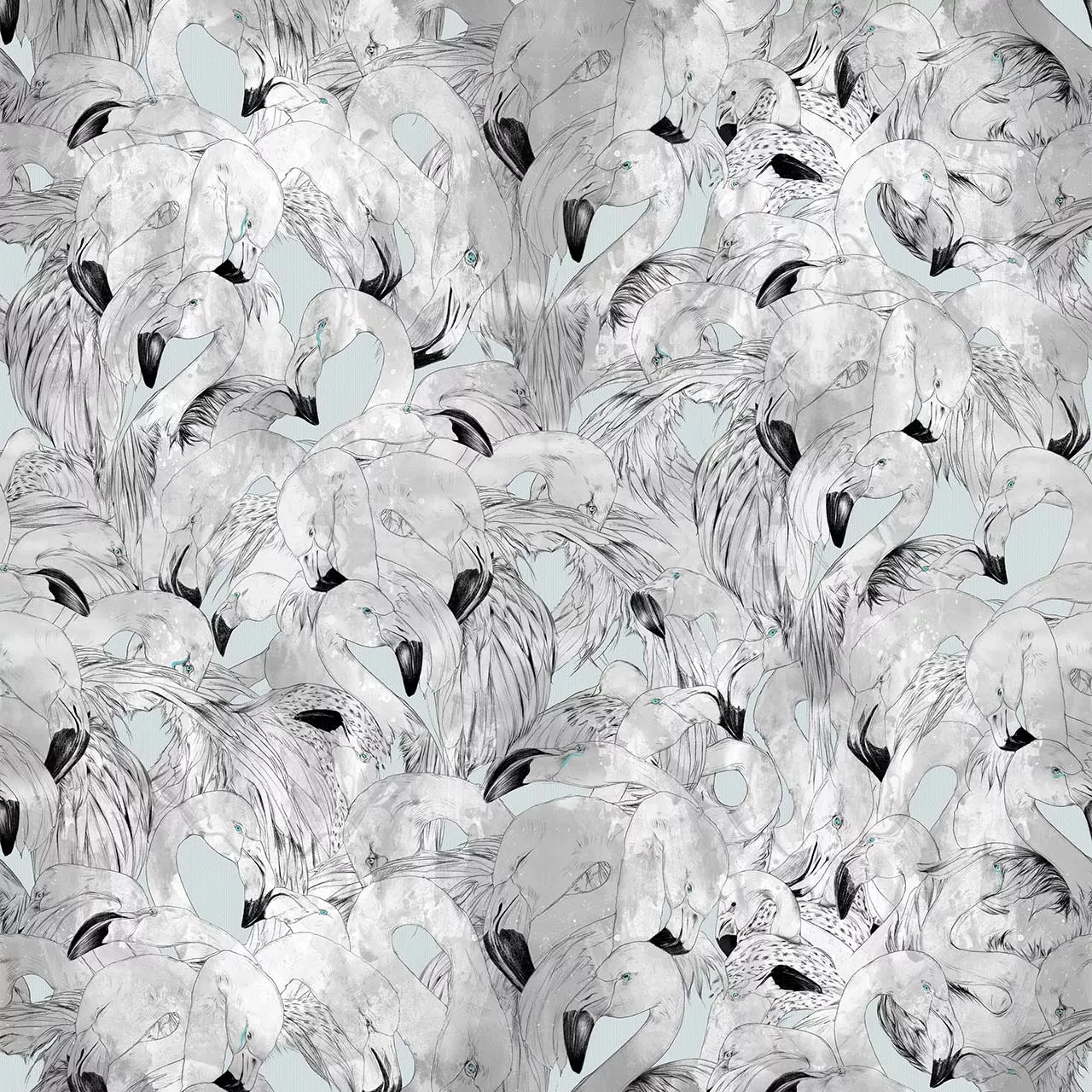 Flamingo Pale Blue