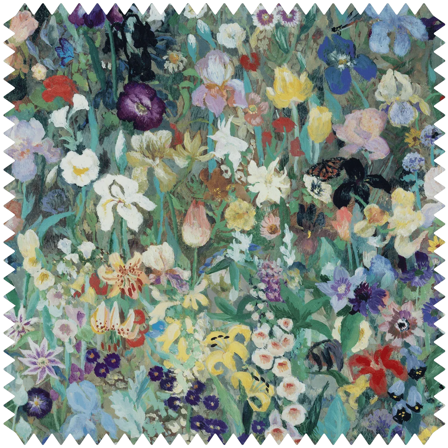 Floribunda Magna Performance Zenith