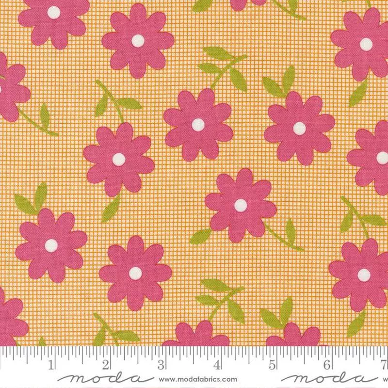 Flower Power – Clementine