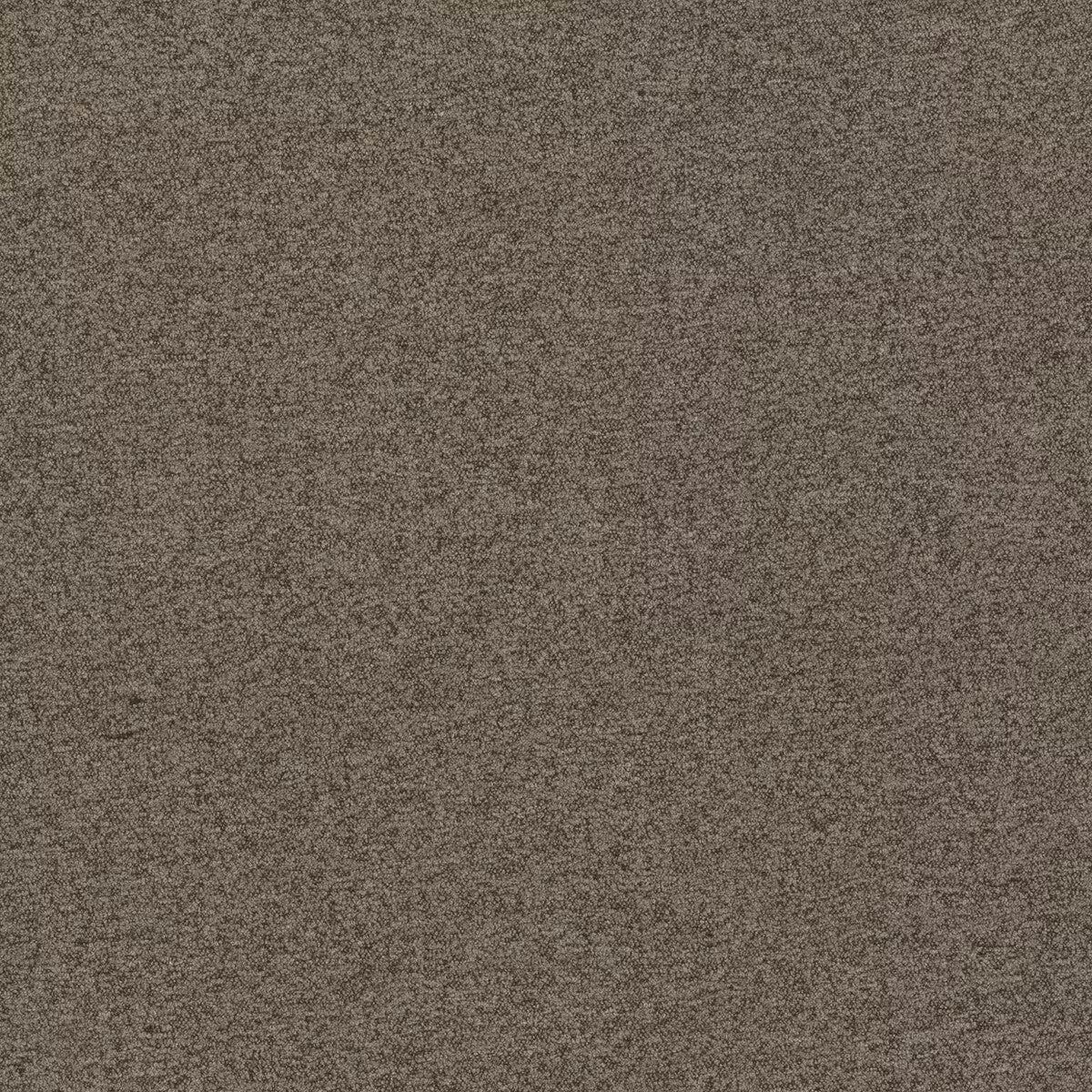 Frazz Earth Fabric