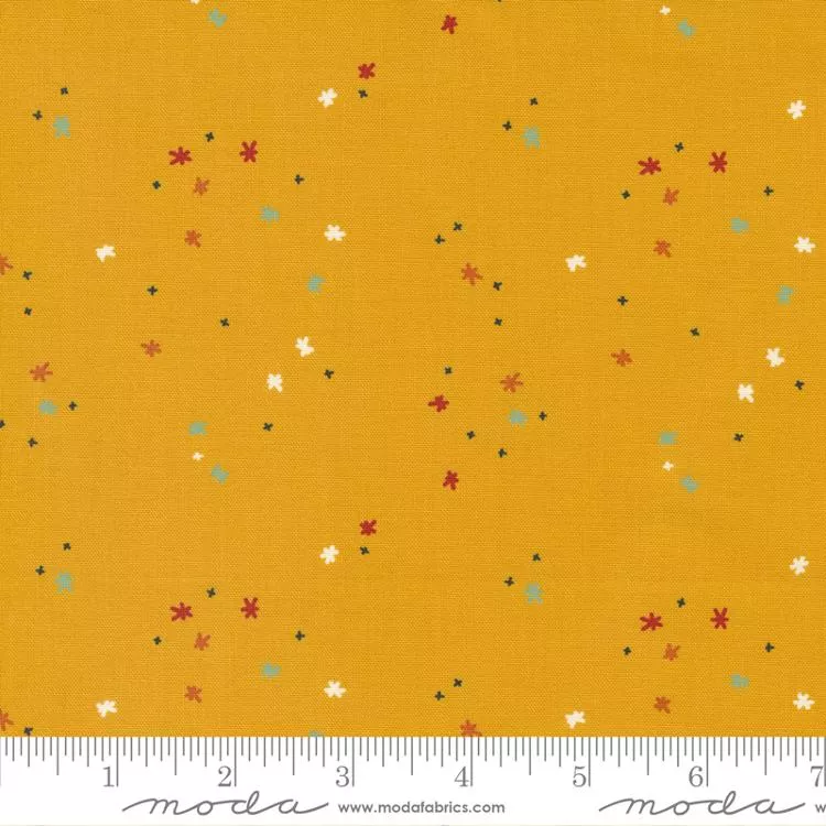 Frisky Twinkle - Sunny