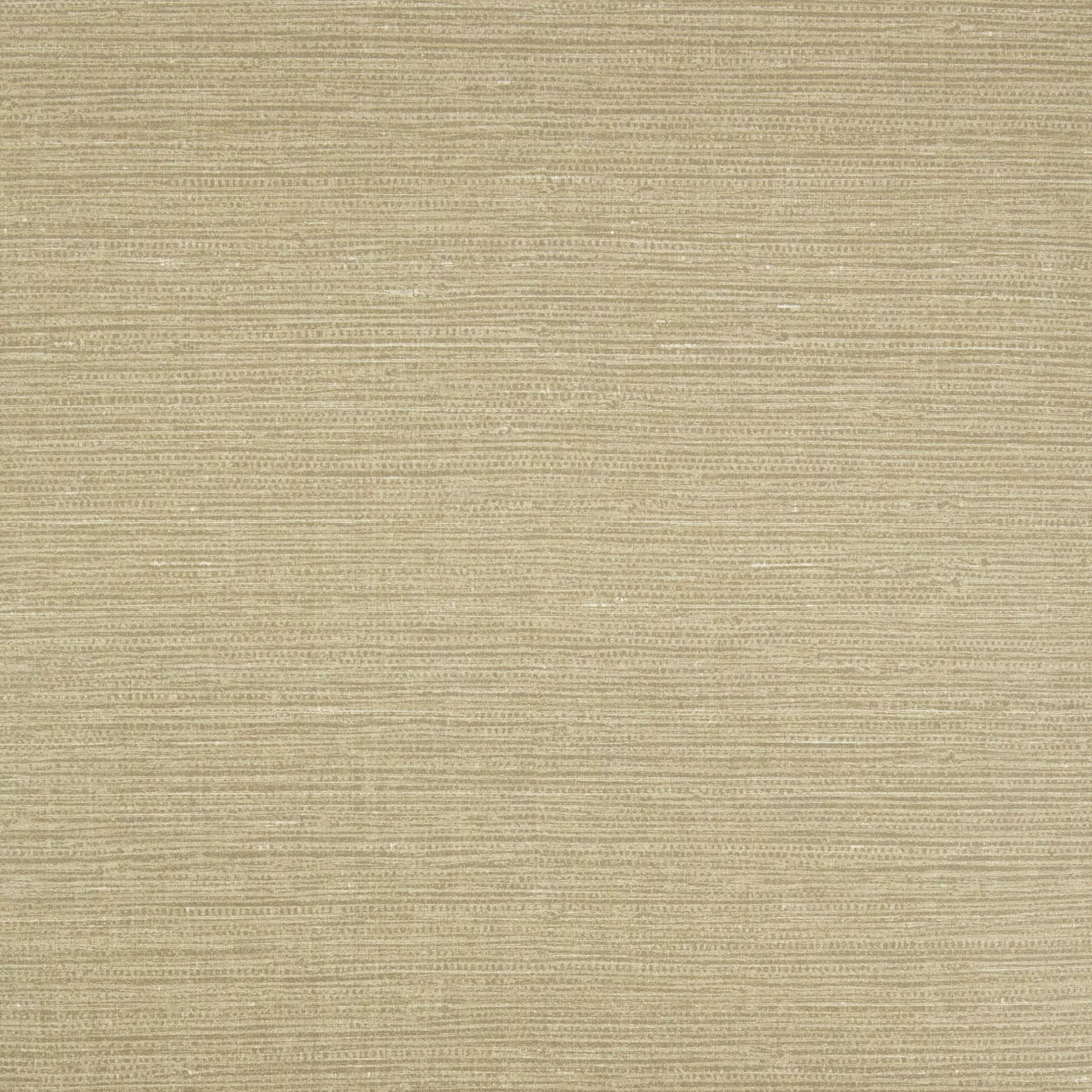 Grasscloth Ajowan