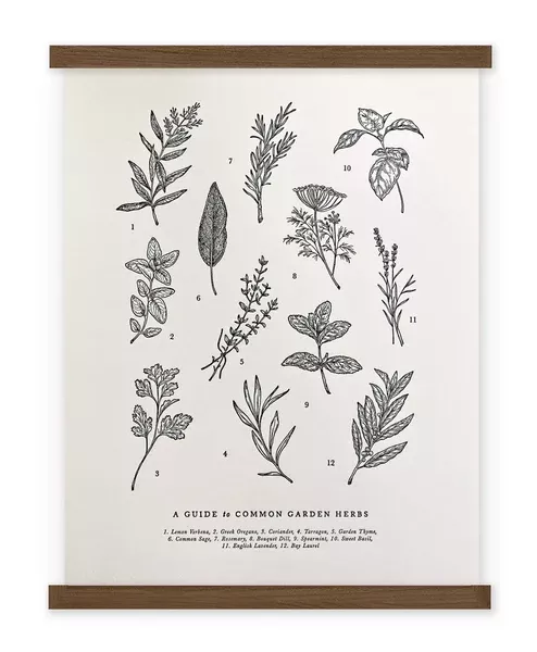 Guide to Garden Herbs Chart