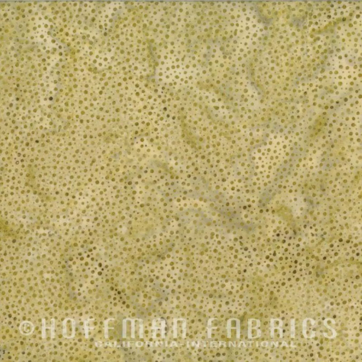 Hoffman Dots 885 644 Asparagus
