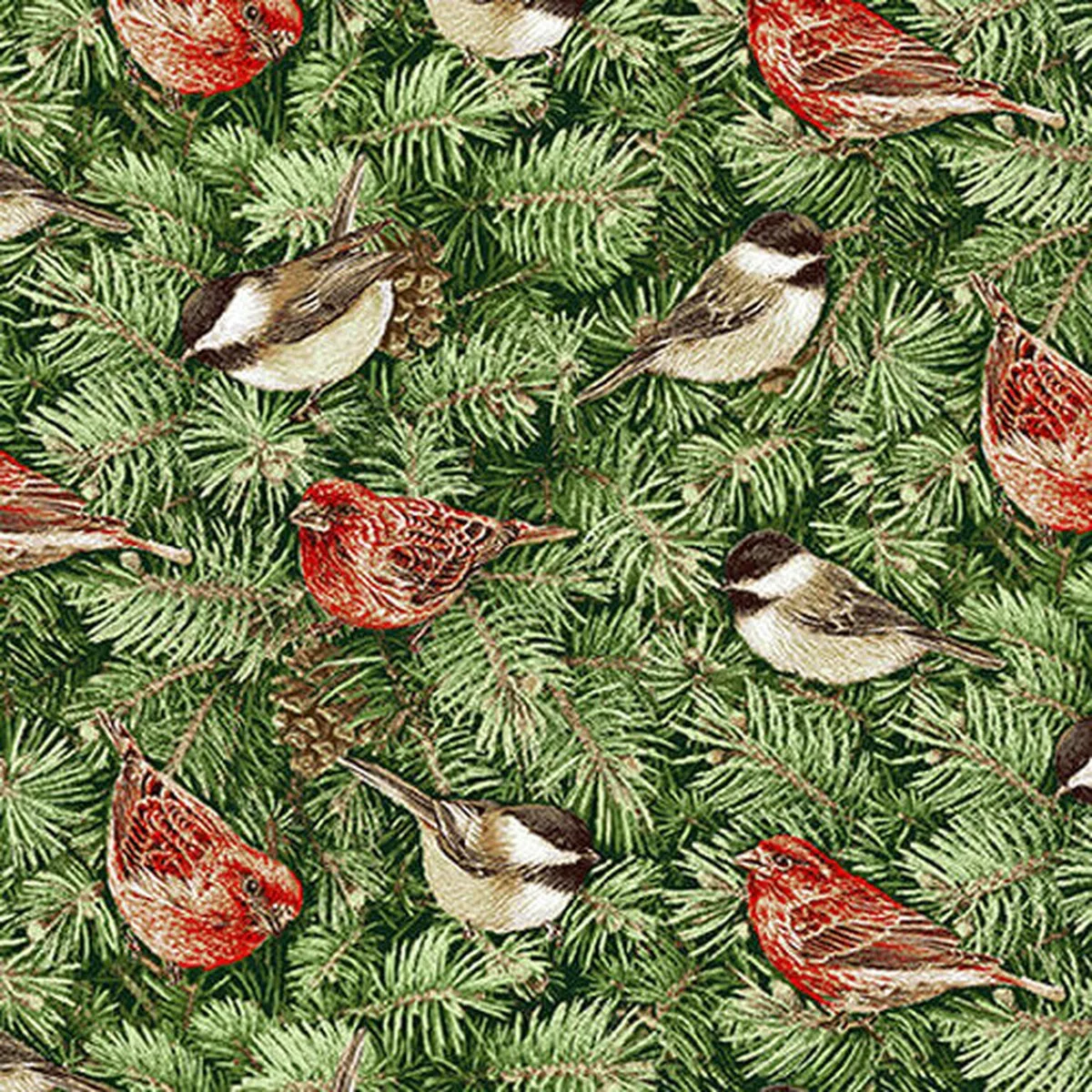Holiday Botanic Birds on Pine Branches