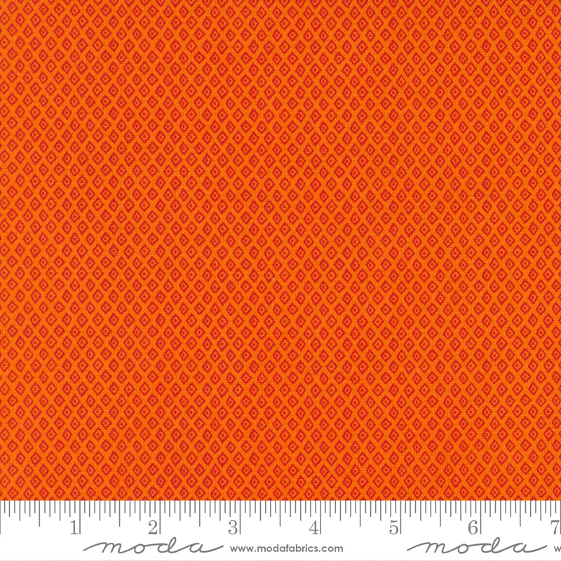 Jungle Paradise - Geo Orange