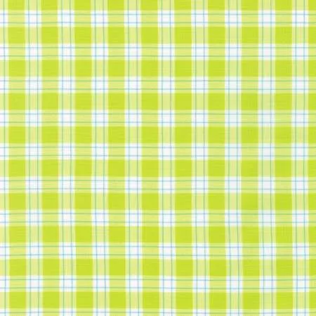 Kitchen Window Wovens Picnic Plaid Cactus