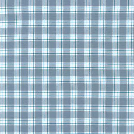 Kitchen Window Wovens Picnic Plaid Shark