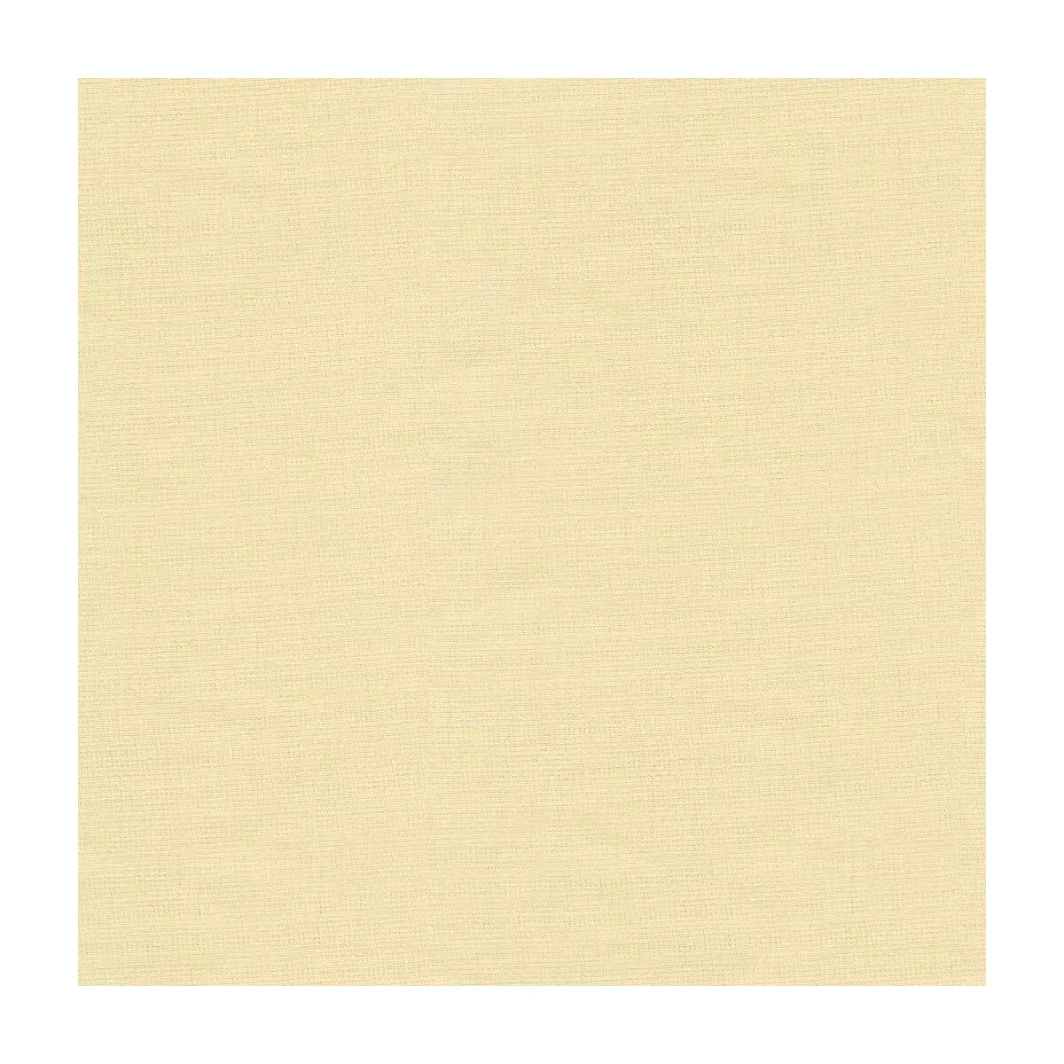 Kravet Contract 4164-1 Fabric