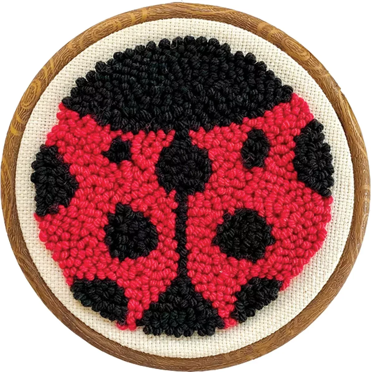 Ladybug Punch Needle Kit
