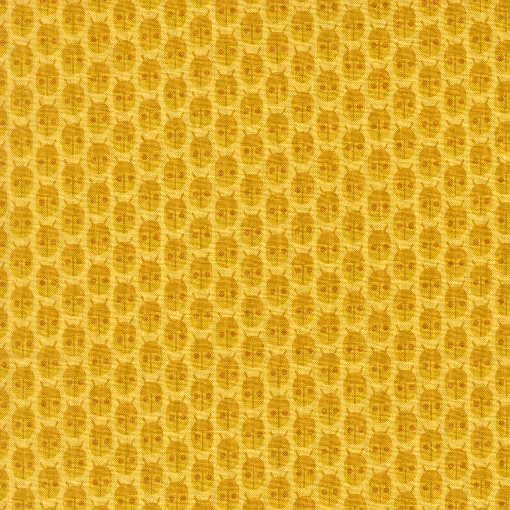 Little Bugs - Lemon - Popcorn by Elizabeth Hartman