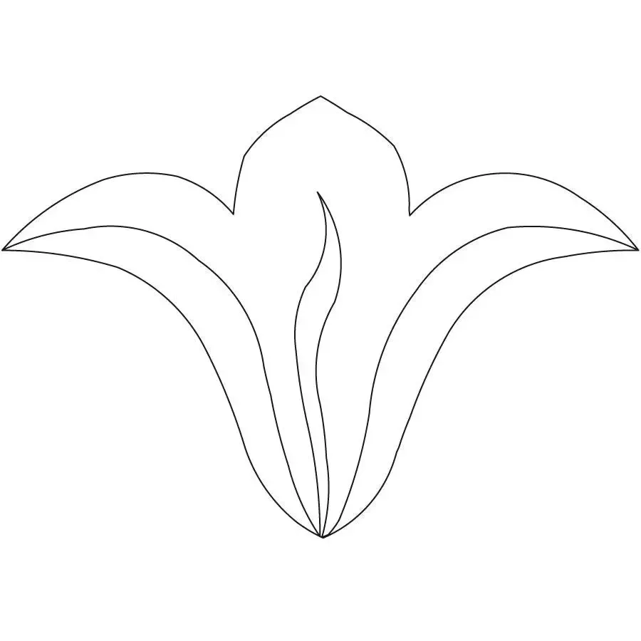Lovely Lily Border