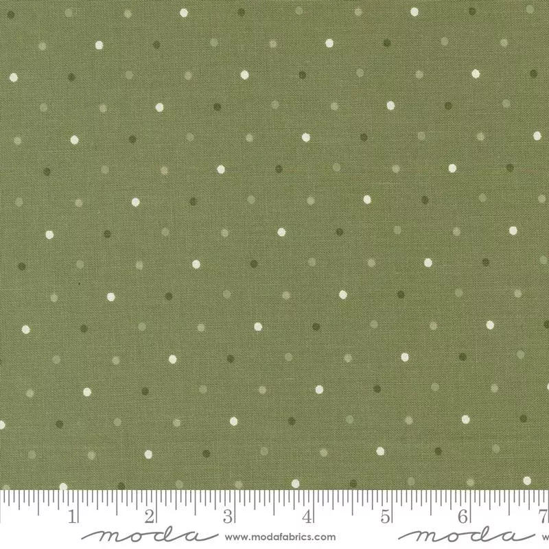 Magic Dot Fern