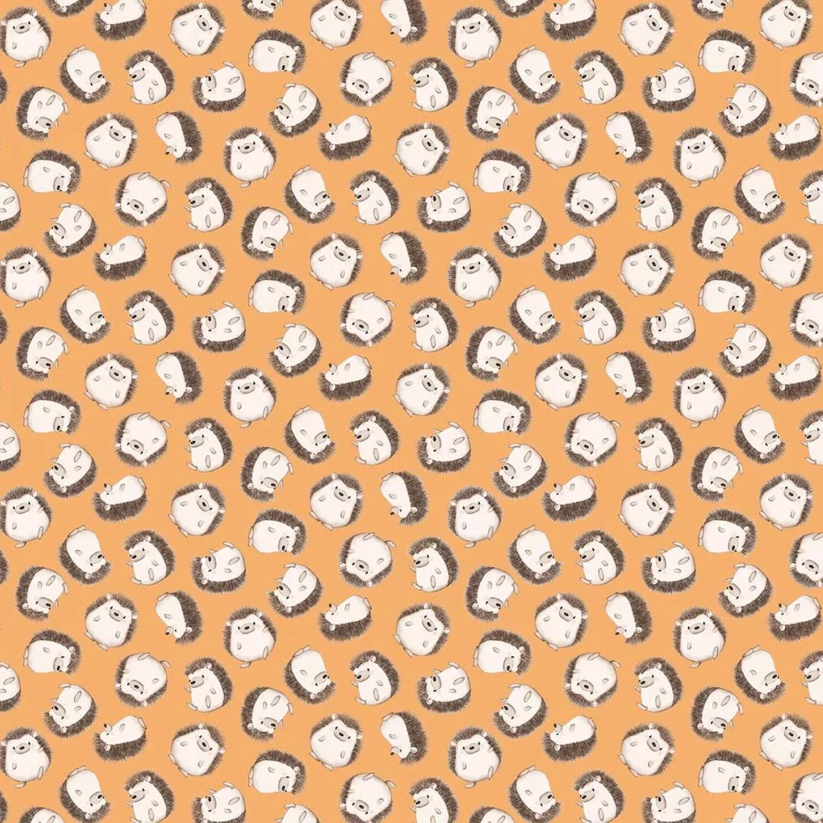 Micheal Miller – Orange Adorable Hedgehogs