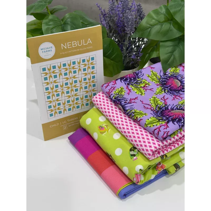 Nebula Quilt Kit – Reef School (Tula Pink)
