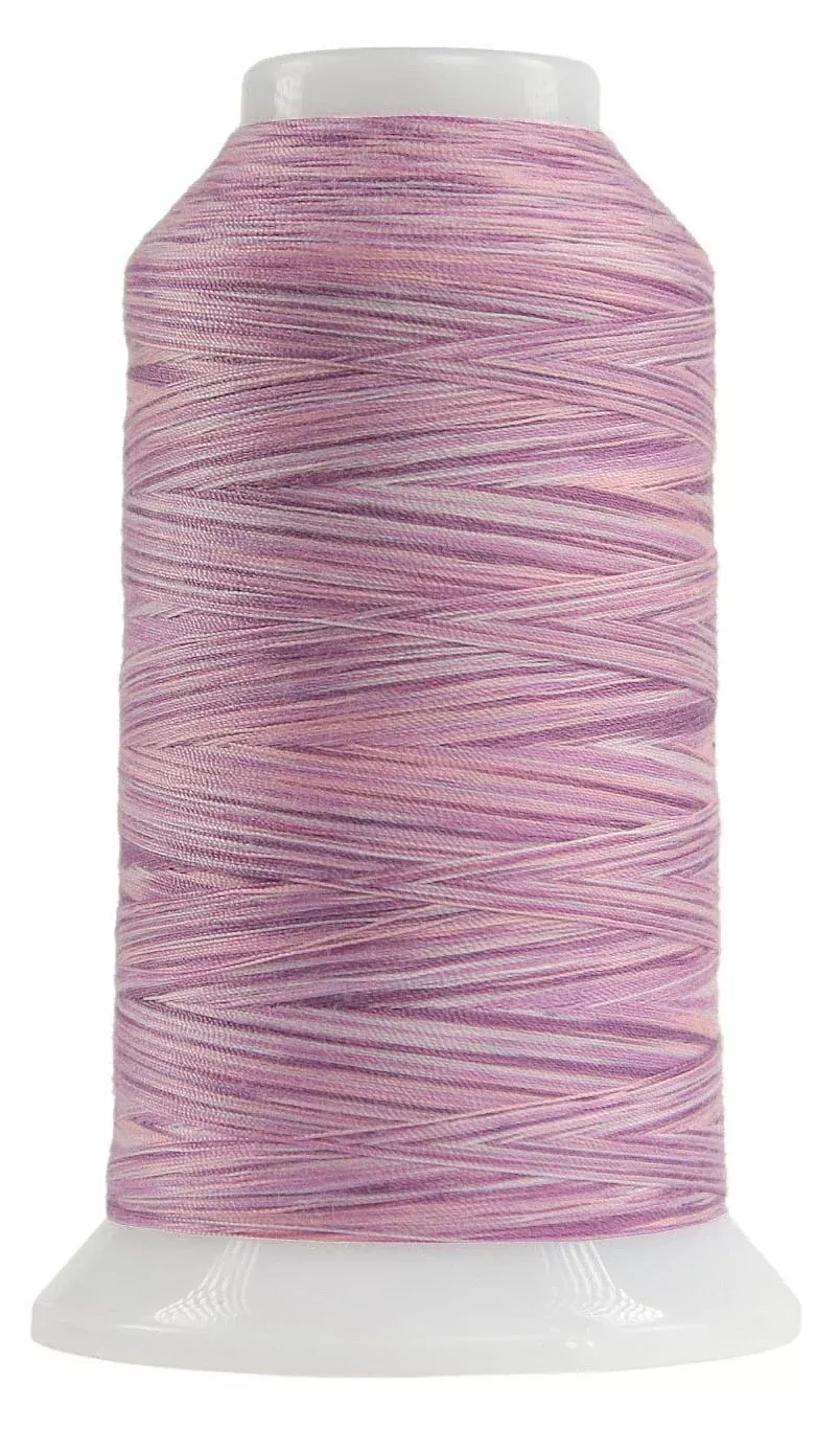 Omni Variegated Polyester Thread 40wt 2000yd Raspberry Parfait
