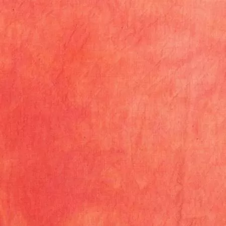 Palette - Salmon - Marcia Derse
