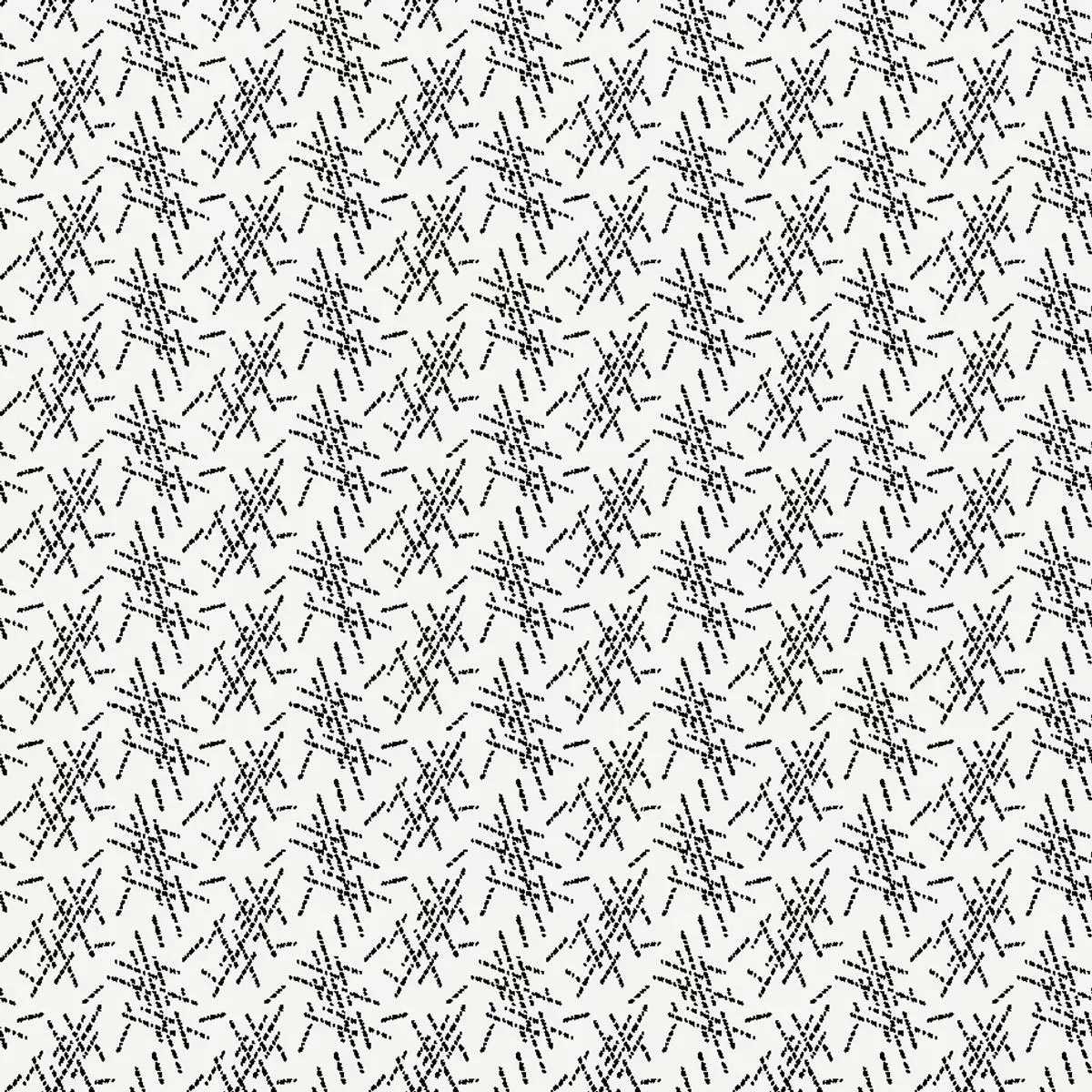 Paulo on Black Fabric