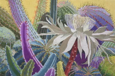 PLD Needlepoint Designs – Desert Light