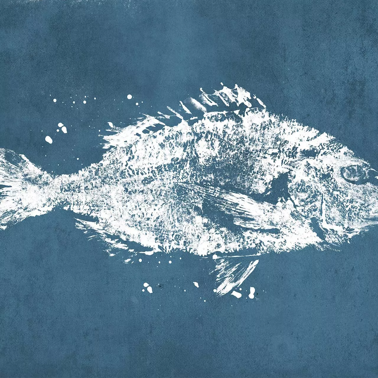 Poissons Navy