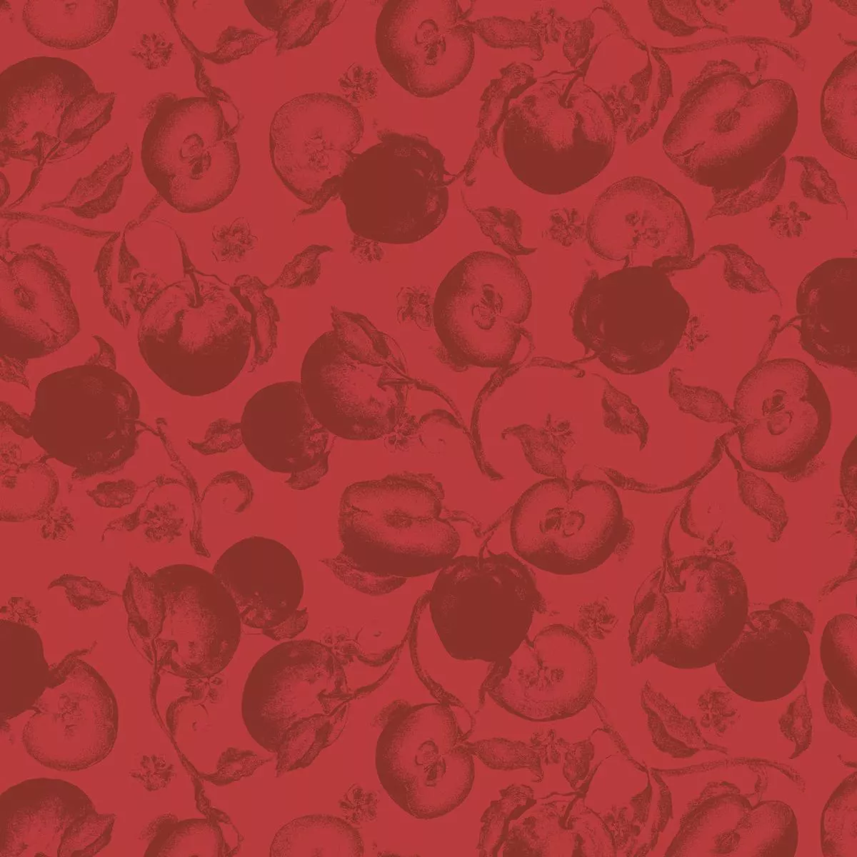 Pomegranate on Red Fabric