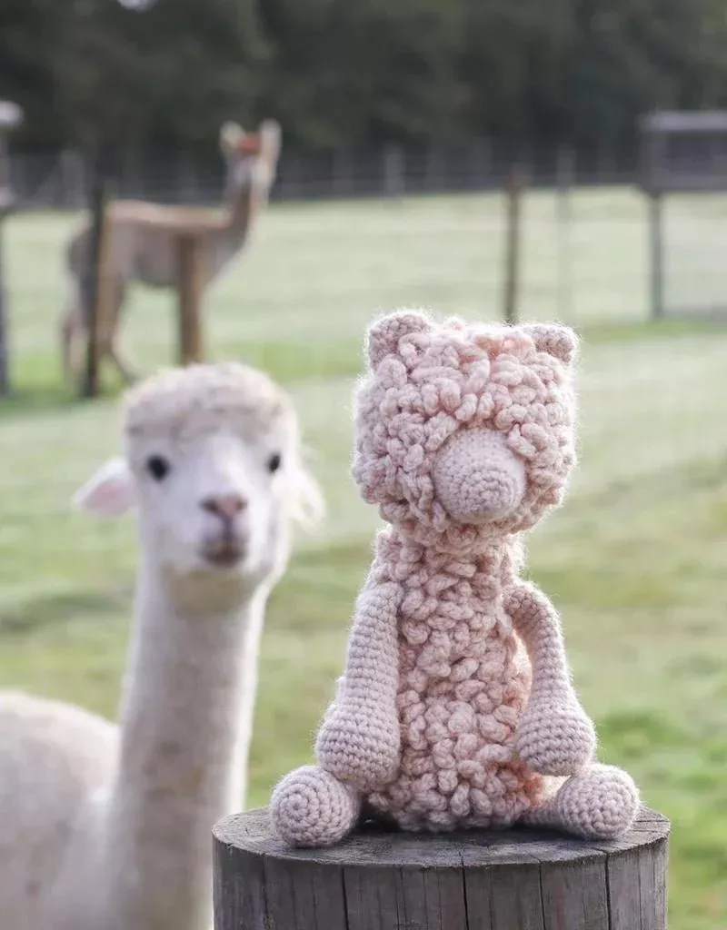 Quin the Alpaca Kit