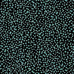 Remarkable Rhinos Dots - Blue