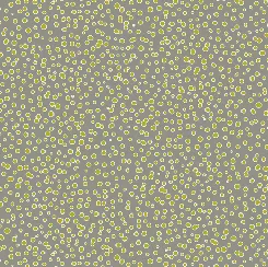 Remarkable Rhinos Dots - Grey