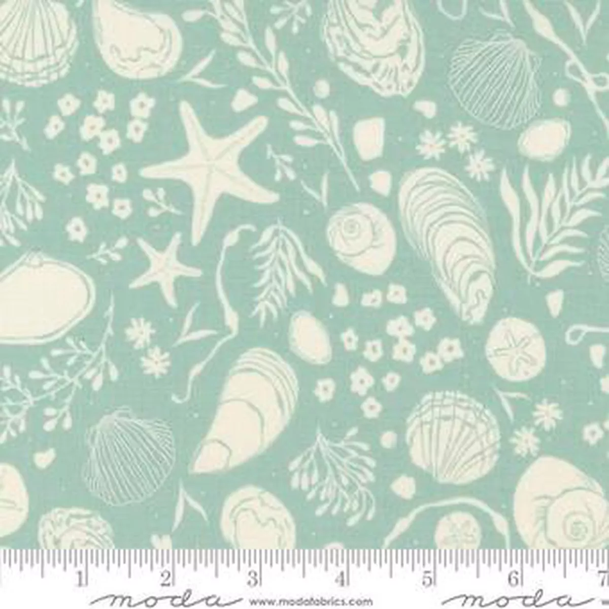 Seaglass Summer Ocean Air Shells