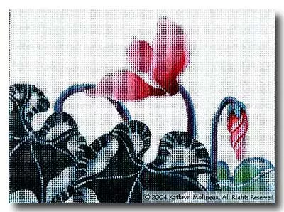 Shorebird Designs – Details: Cyclamen