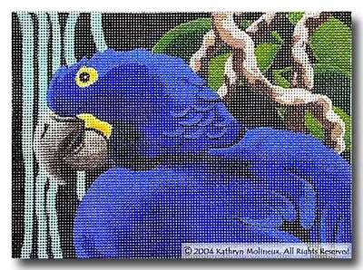 Shorebird Designs – Details: Hyacinth Macaw