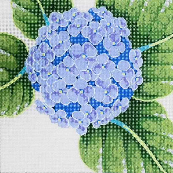 Shorebird Designs -Hydrangea