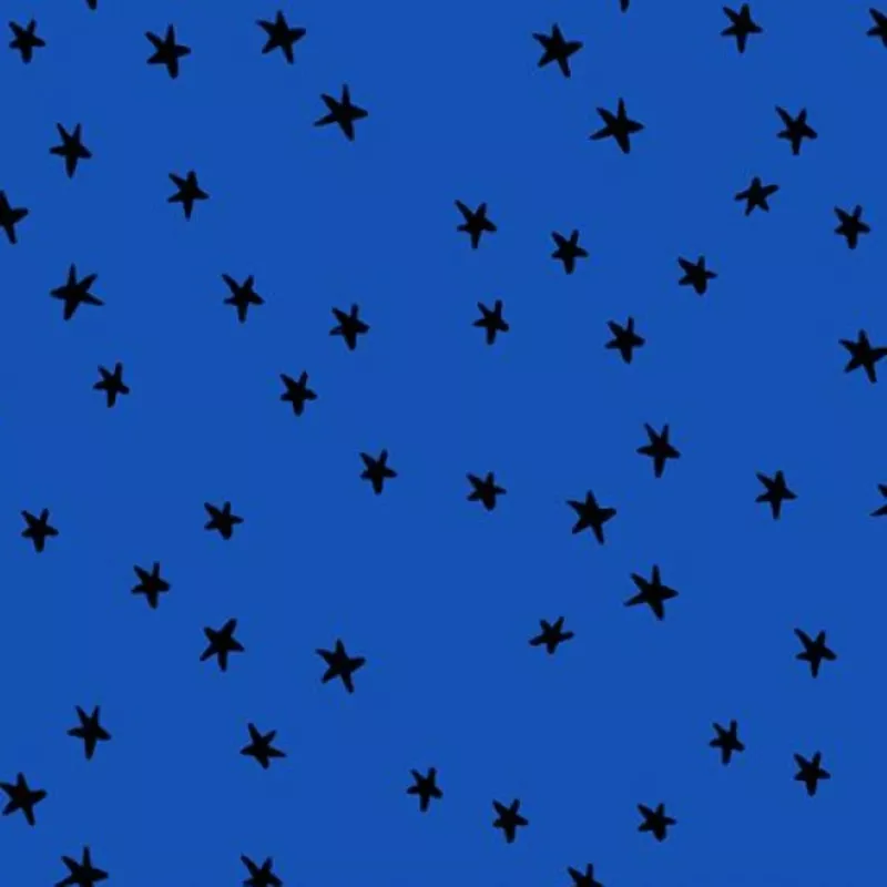 Starry - Blue Ribbon