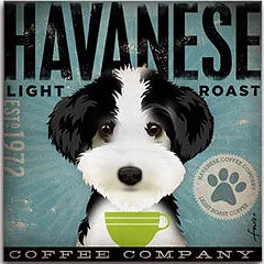 Tango & Chocolate – Havanese Coffee