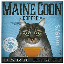 Tango & Chocolate – Maine Coon Coffee